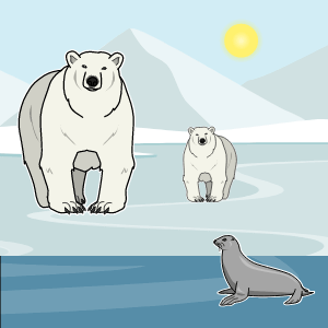 Where do Polar Bears Live? Lesson Plans