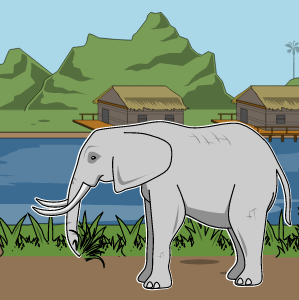 Planos de Aula de Tiro em um Elefante