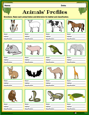Hayvanlar Çalışma Sayfaları