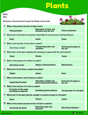 Plant Worksheets
