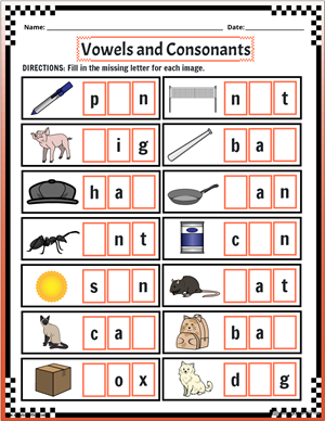 Vowels and Consonants Worksheets
