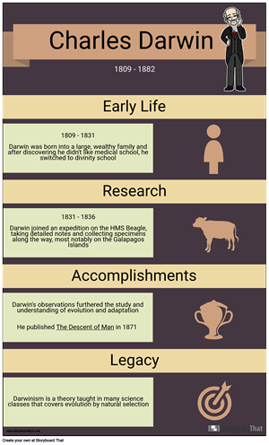 History Infographic Example