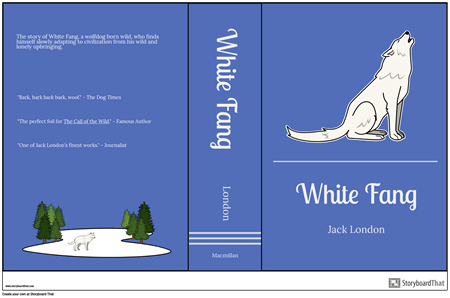 Book Jacket Example