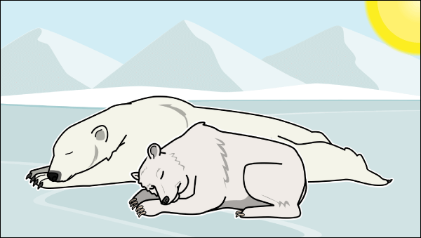 أين الدببة القطبية يعيش خطط الدرس