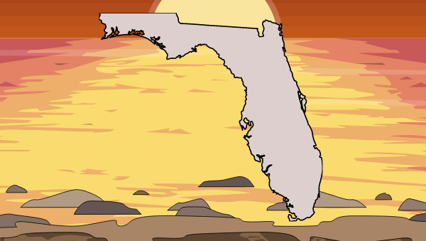 Attività Della Guida Dello Stato Della Florida | Storia Della Florida