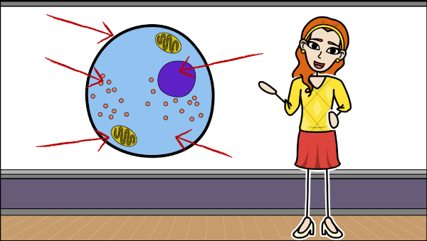 Animal Cell Diagram - Plant Cell Diagram and Lesson Plans