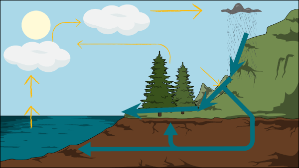 Piani di Lezione sul Ciclo Dell'acqua