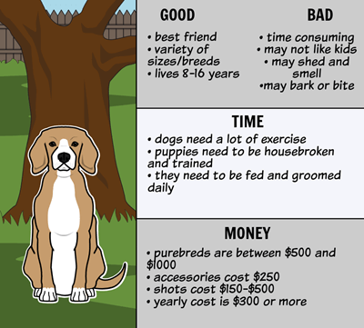Good Pet, Bad Pet - Informational Text Summary