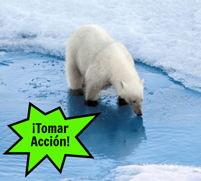¿Dónde Viven los Osos Polares? por Sarah Thomson - Save the Arctic Poster o PSA
