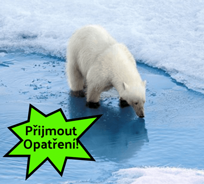 Kde Žijí Polární Medvědi? Sarah Thomsonová - Zachránit Arktický Plakát Nebo PSA