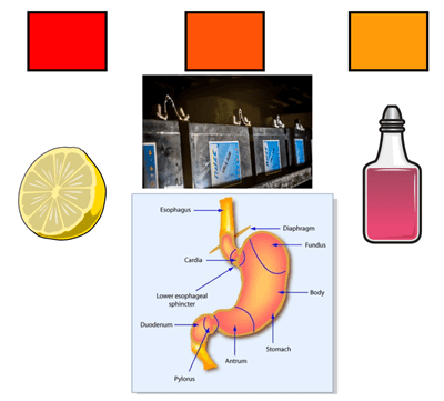 Acizi și Baze - Scala pH