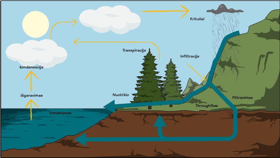 Vandens Ciklo Schema Vandens Ciklo Uzsiėmimai
