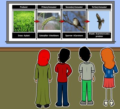Храна Вериги - Хранителни Вериги Дискусията Storyboard