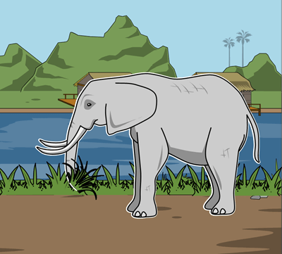 Съемка Слона Джорджа Оруэлла - Темы, Символы и Мотивы