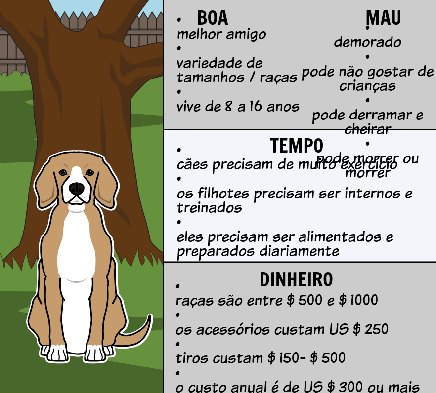 Responda essas perguntas e lhe daremos um animal exótico de estimação!