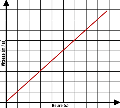 Motion - Comparaison des Graphes de Déplacement et de Vitesse