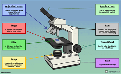 Basic Cells - Label a Microscope