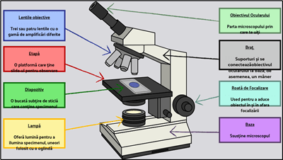 Elemente de Bază - Etichetați un Microscop