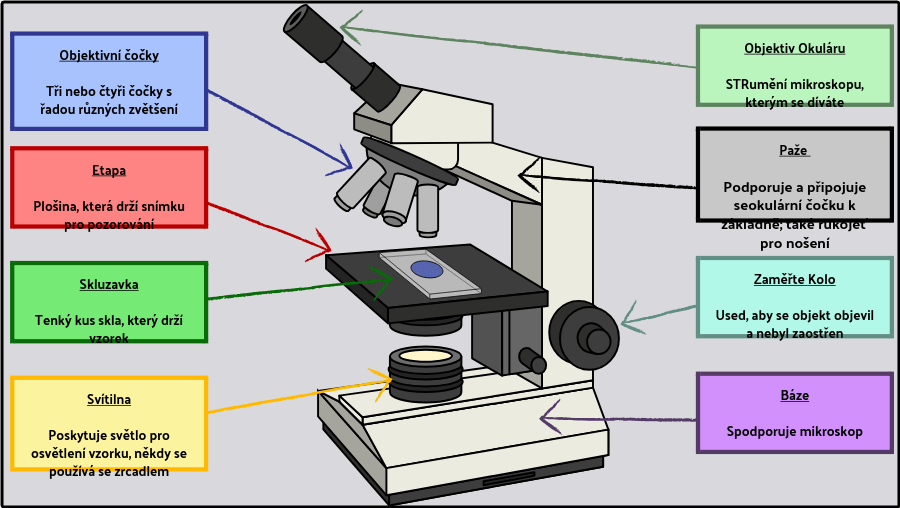 Jak se používá mikroskop?