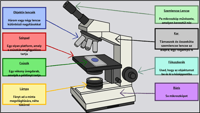 Alapcellák - Mikroszkóp Jelölése