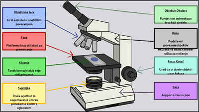 Osnovne Stanice - Označite Mikroskop