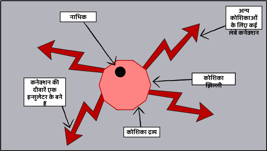 व श ष कक ष स ट र ब र ड द व र Hi Examples