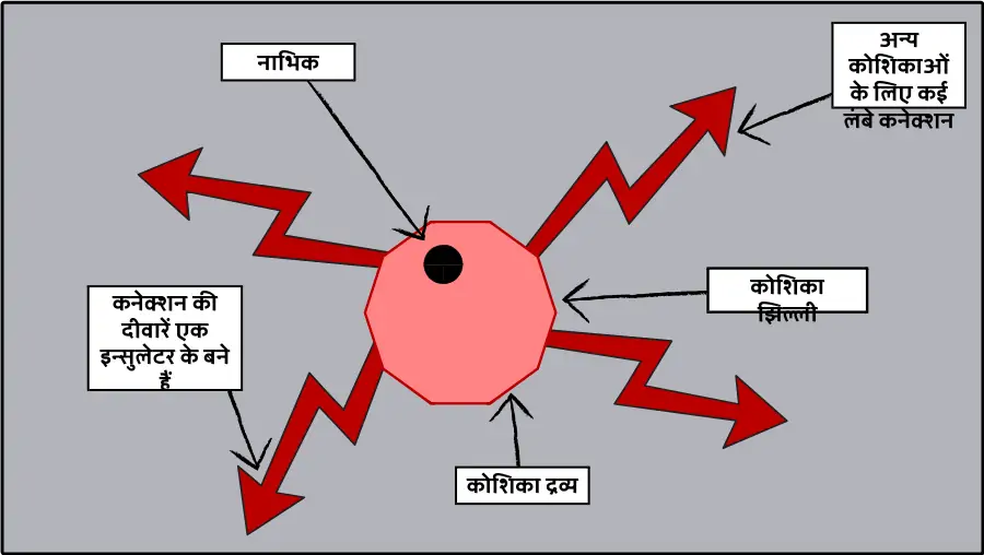 व श ष ट क श क ओ क प रक र ग र फ क आय जक गत व ध