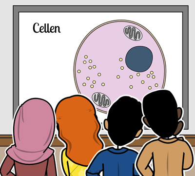 Cell Division - Cell Division Diskussion Storyboard