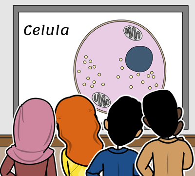 Cell Division - Discuție Celulară Storyboard