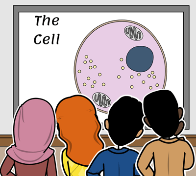 Buněčná Divize - Cell Division Diskuse Storyboard