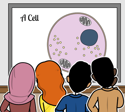 Cell Division - Cell Division Megbeszélés Storyboard