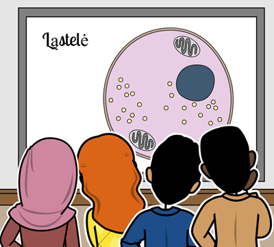 Ląstelių Skyrius - Ląstelių Dalijimosi Diskusija
