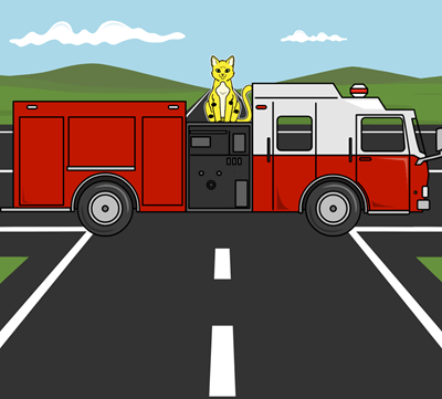 The Fire Cat Summary