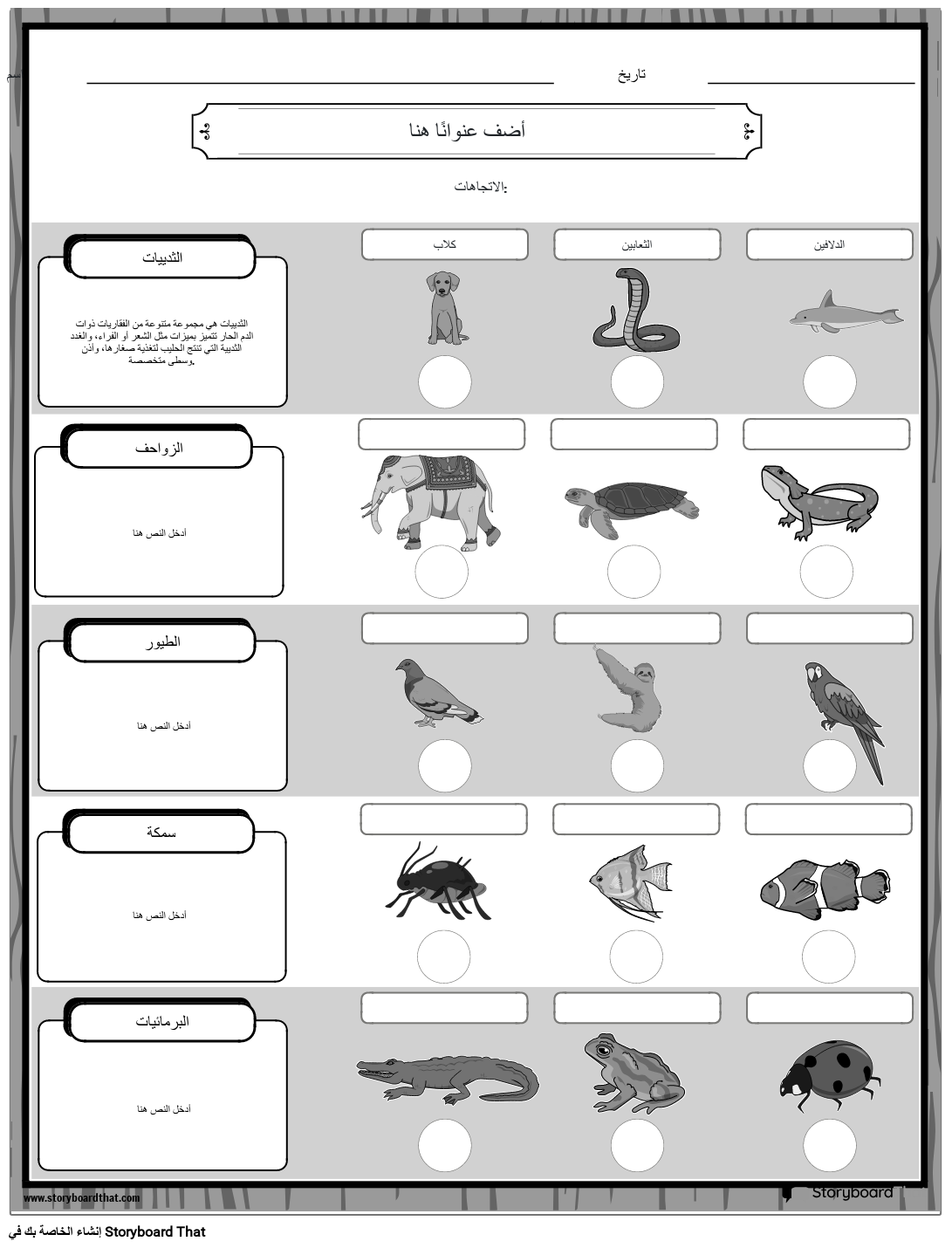 ورقة عمل تصنيف الحيوانات