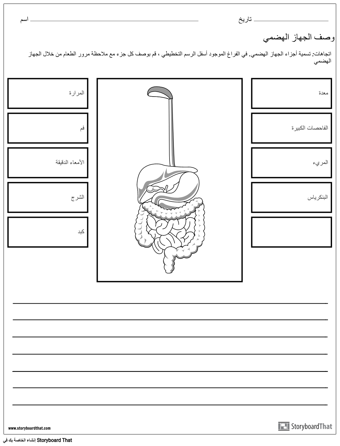 الجهاز الهضمي وصف ورقة العمل أنشطة الجهاز الهضمي 0793