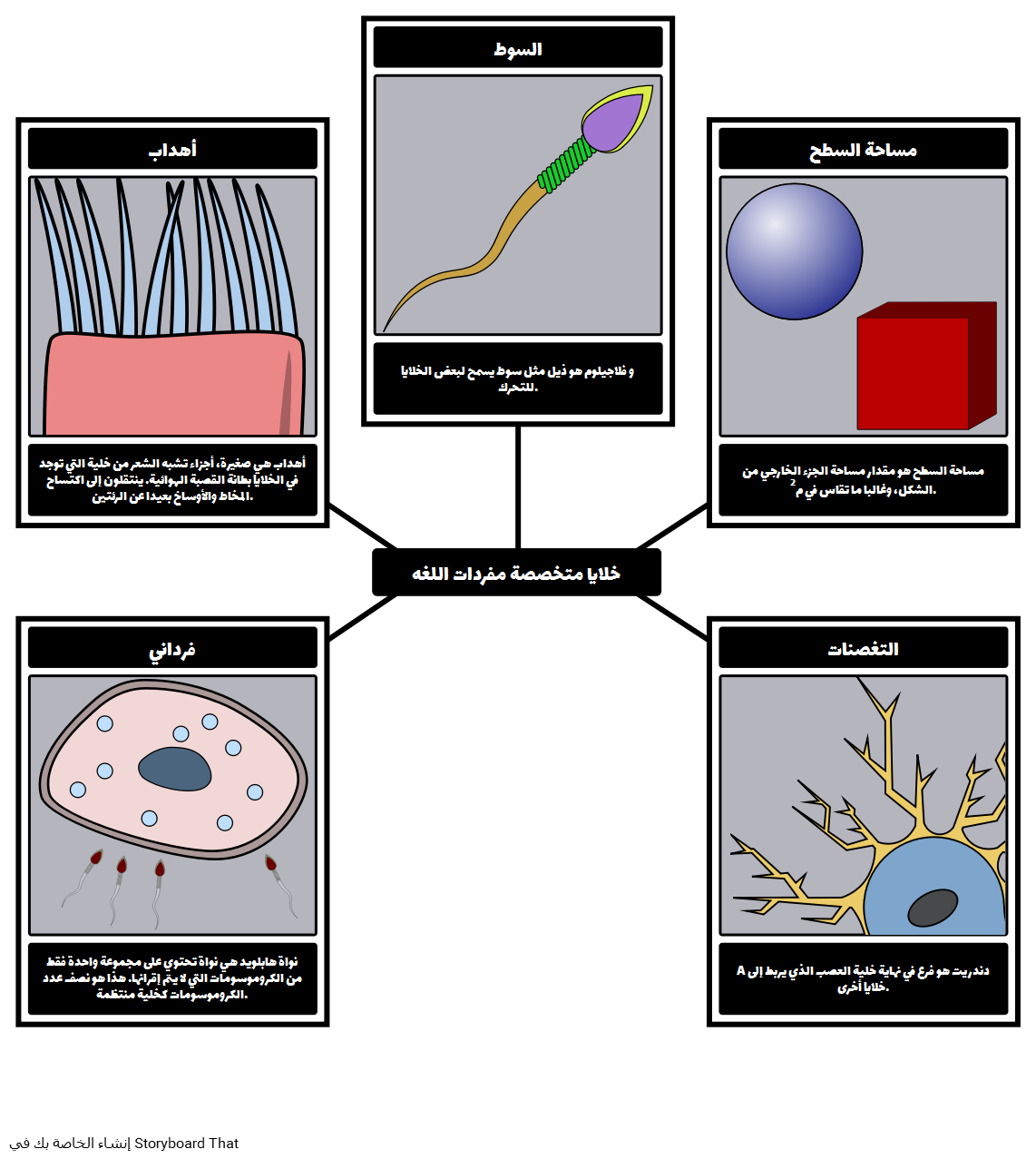 Specialized Cells مثال على المفردات 