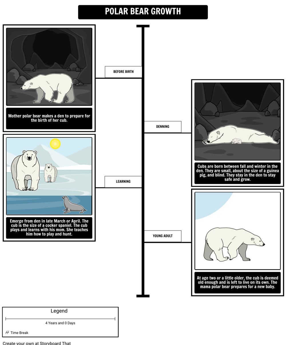 Where Do Polar Bears Live? Polar Bear Growth Storyboard