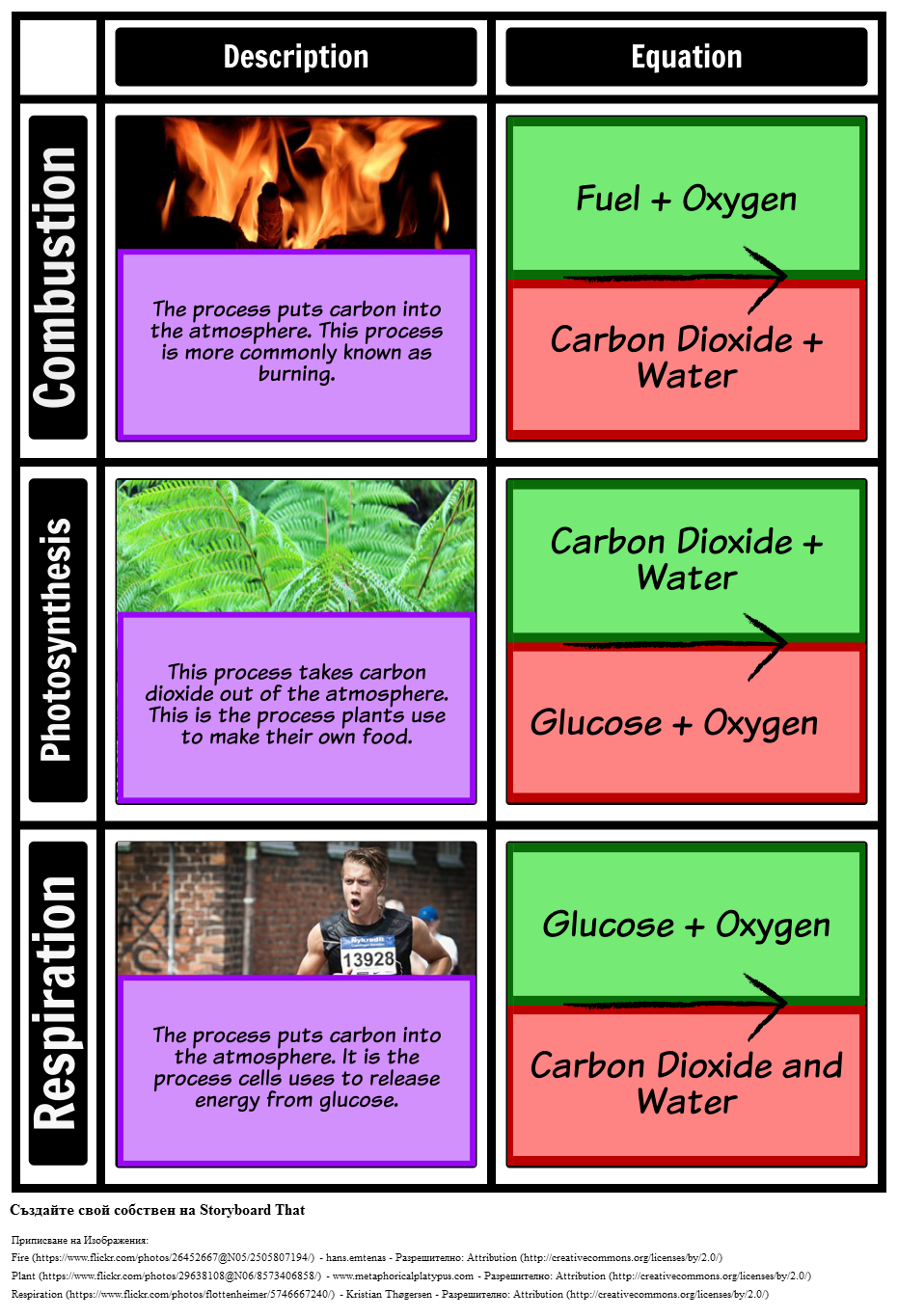 Процеси в Решетката на Въглеродния Цикъл