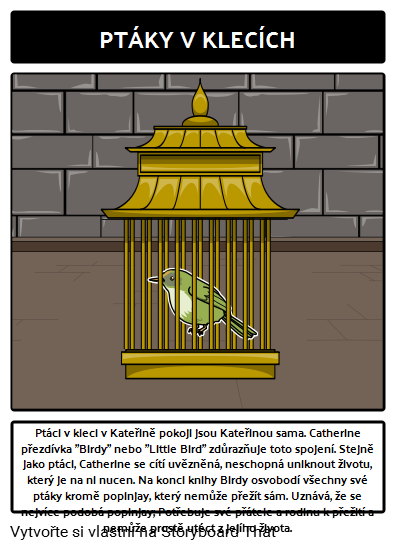 Catherine, Nazvaný Birdy Symbolismus