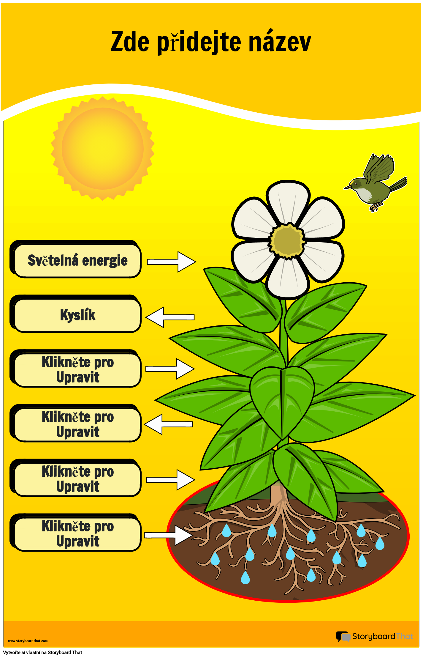 Fotosyntéza Diagram Plakát