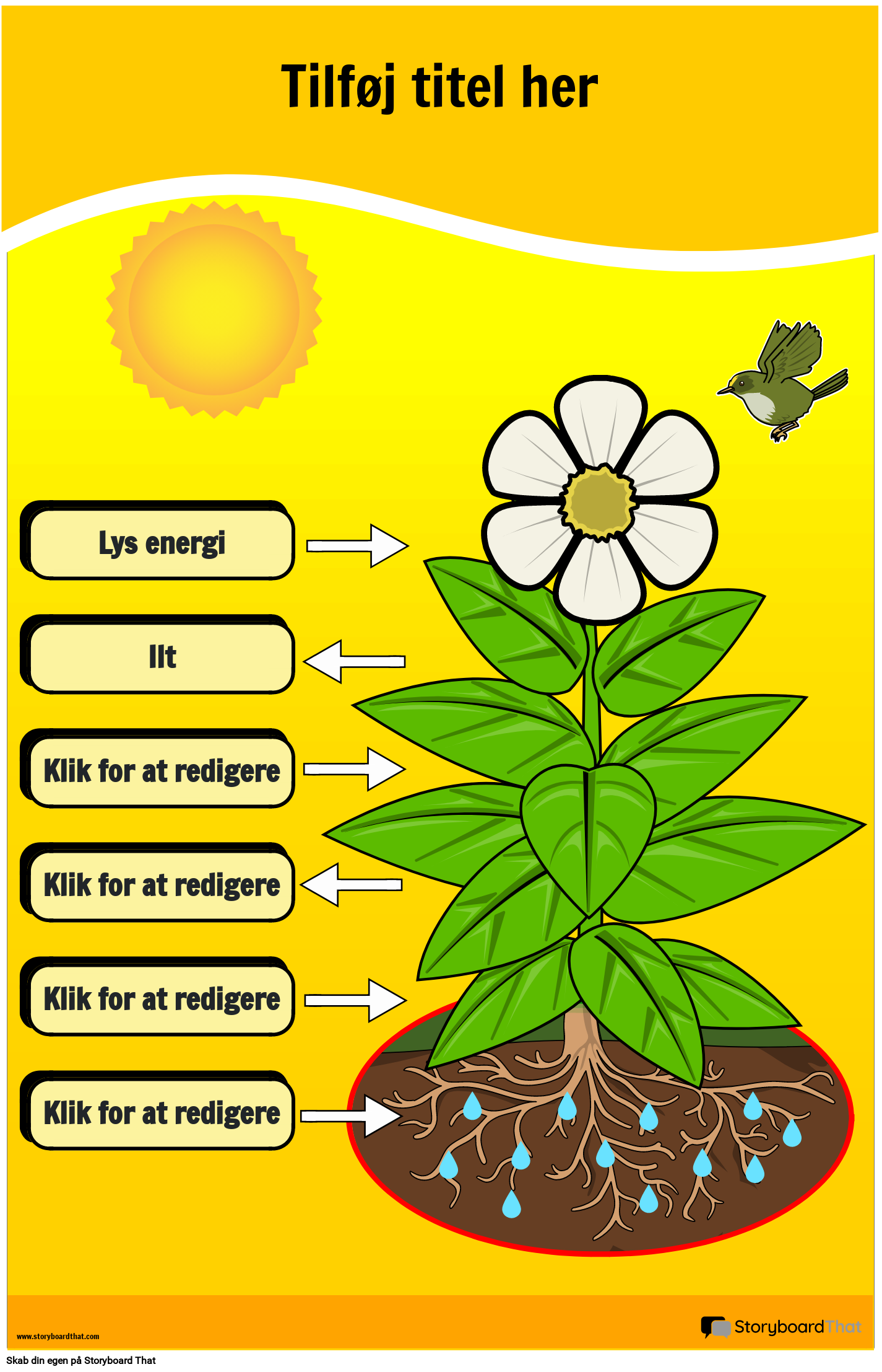 Fotosyntesediagram Plakat