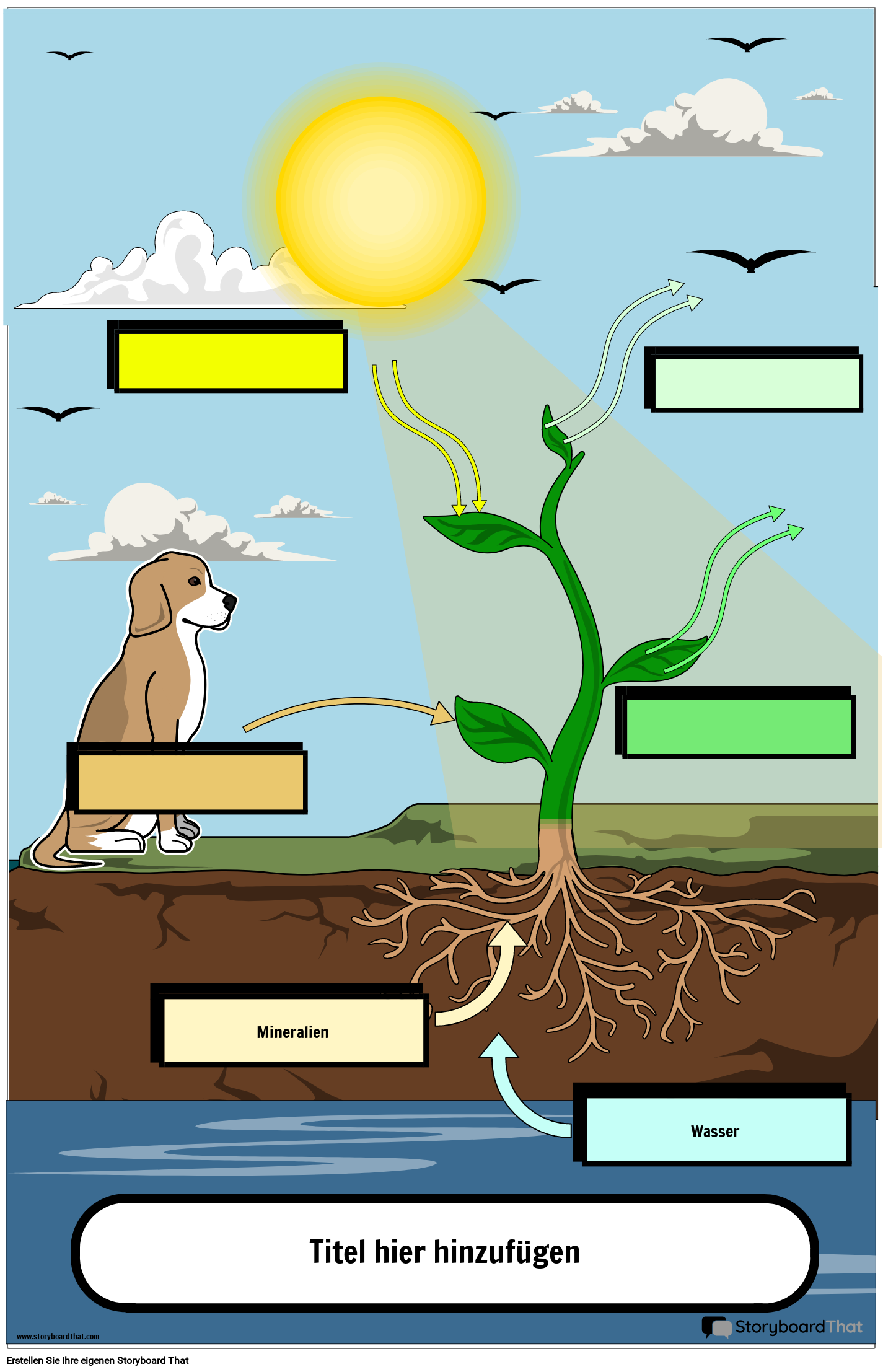 Fotosynthese-Klassenzimmer-Display-Poster