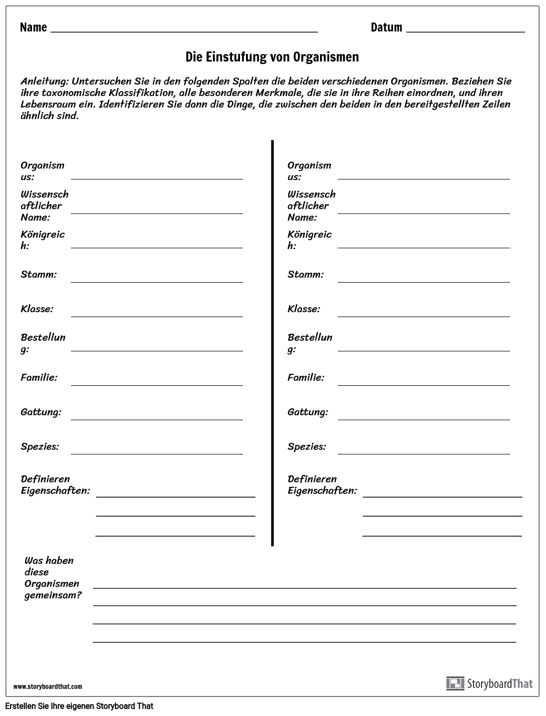 Taxonomischer Rang Storyboard Av De examples