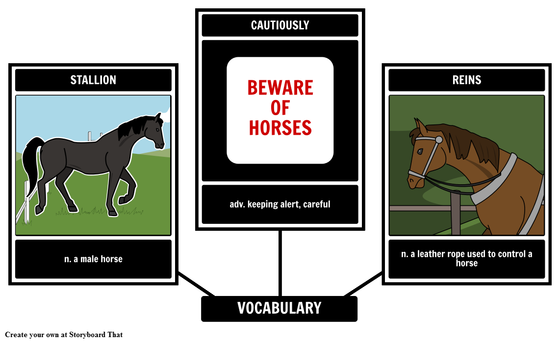 The Black Stallion Vocabulary