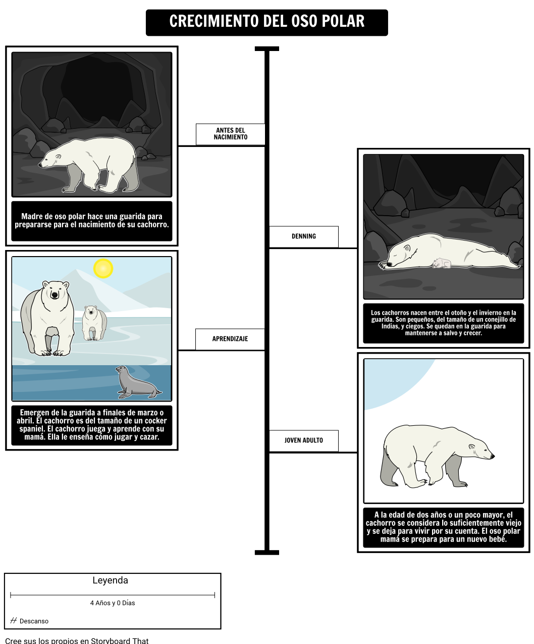 ¿Dónde Viven los Osos Polares? Crecimiento del oso Polar