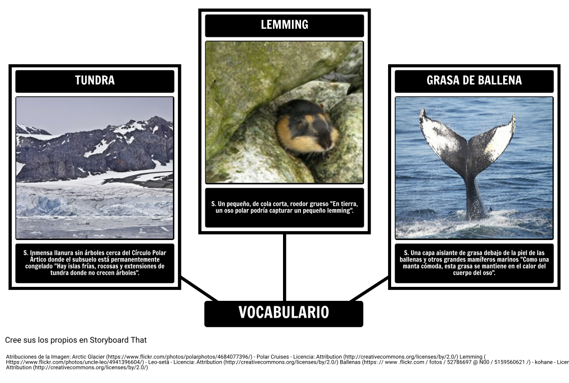 ¿Dónde Viven los Osos Polares? Vocabulario Storyboard
