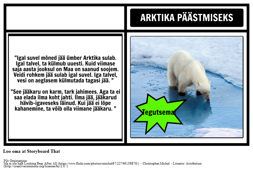 Kust Polar Bears Live? PSA