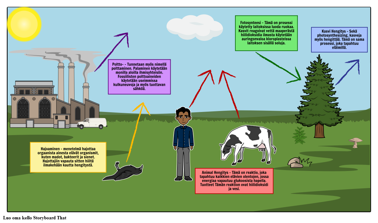 Carbon Cycle Kaavio Storyboard Por Fi examples