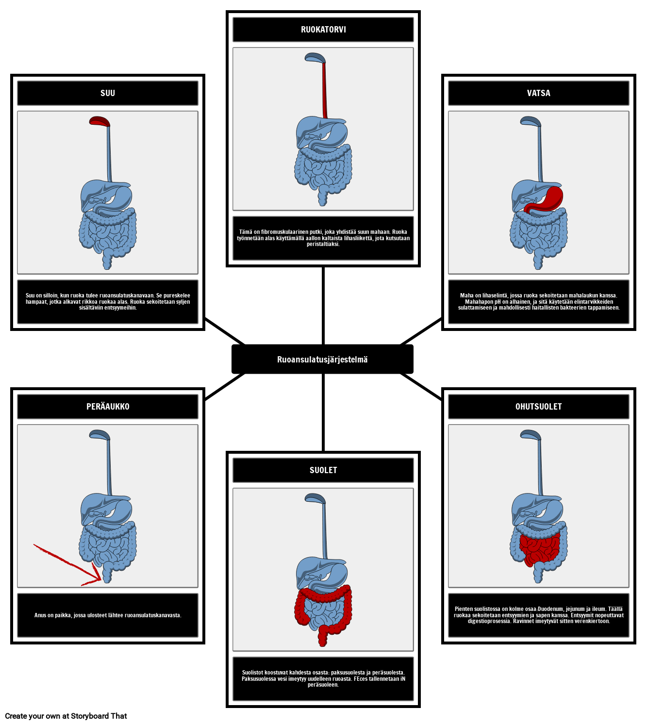 Ruoansulatusj rjestelm n Elimet Storyboard That oppituntisuunnitelma
