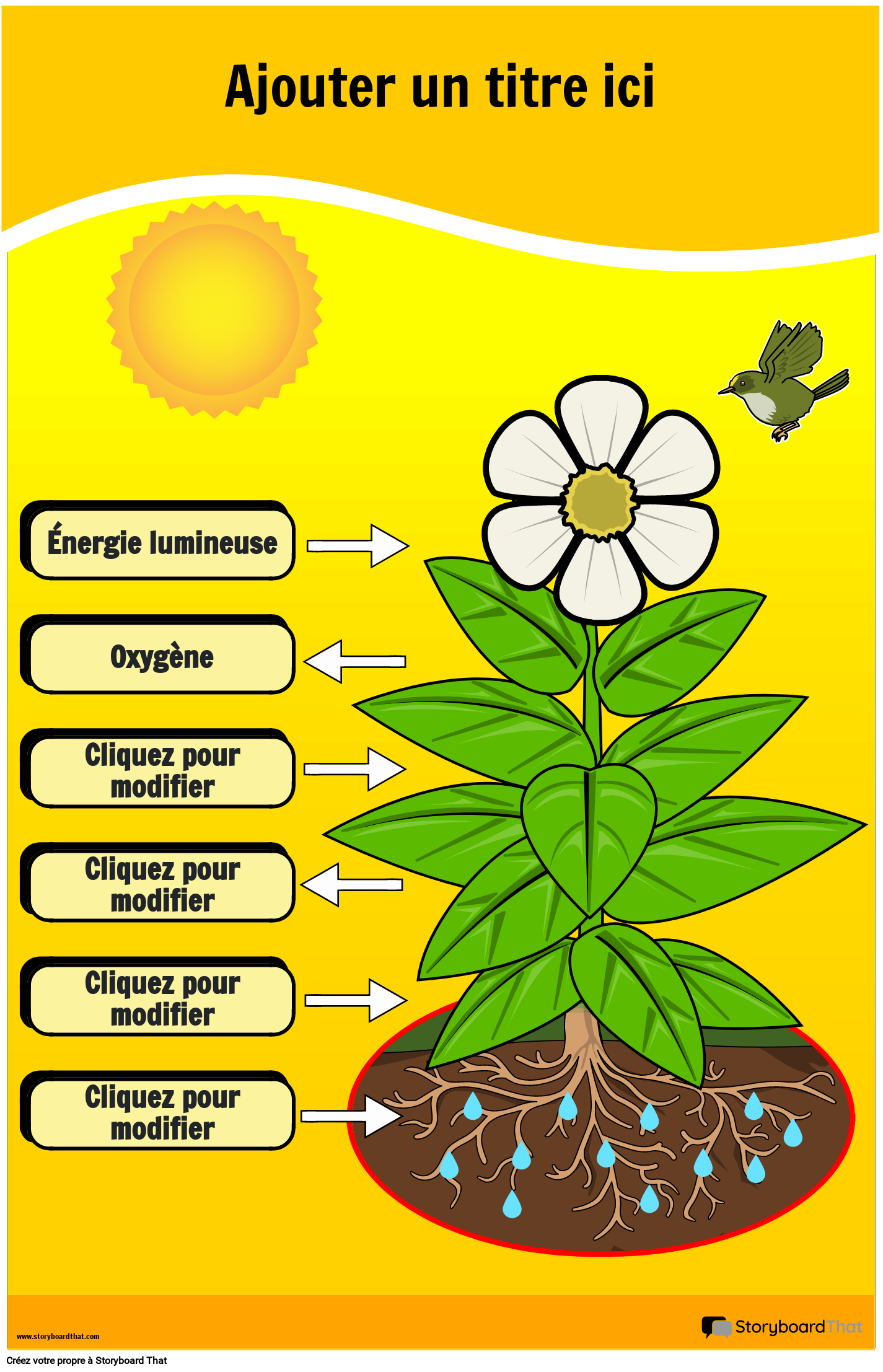 Diagramme de Photosynthèse Poster